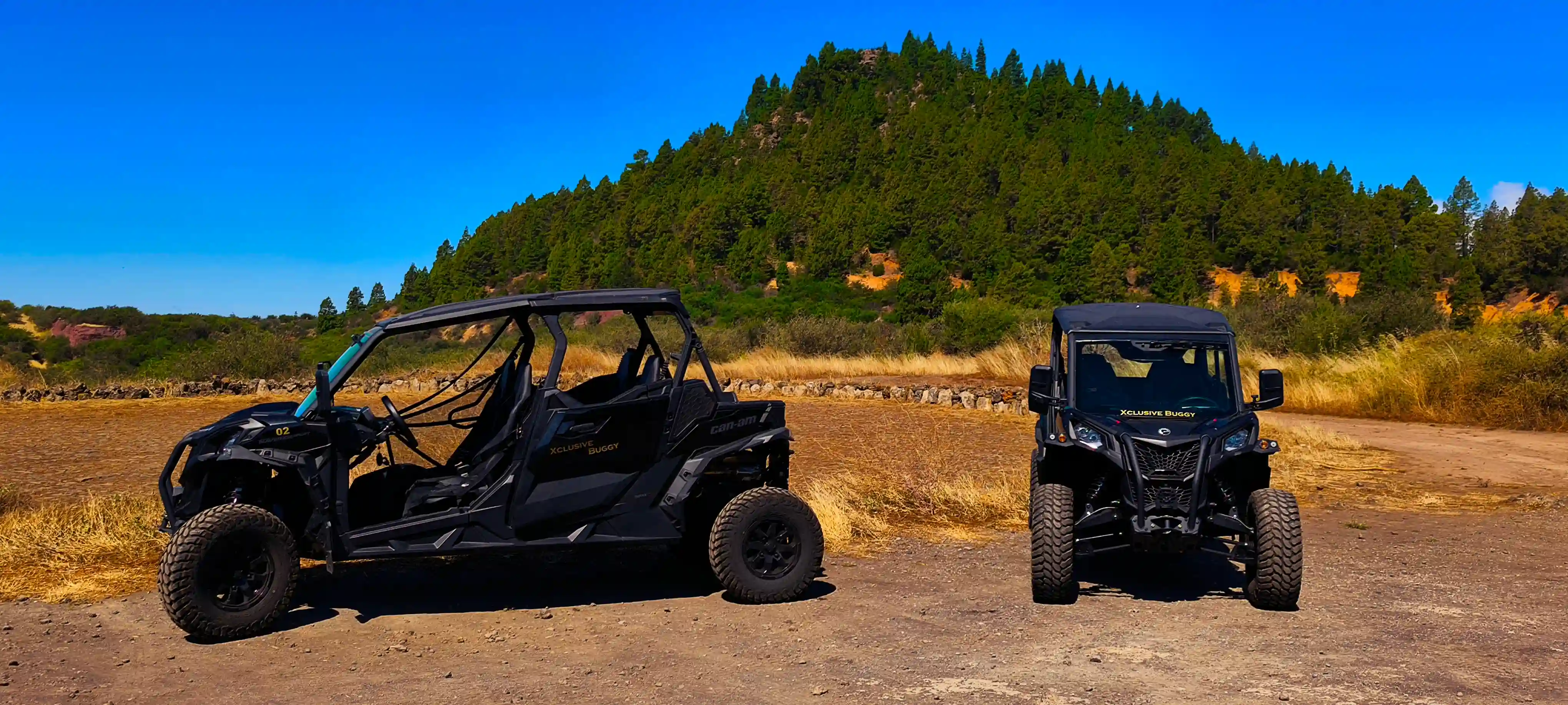 Carreteras escénicas al anochecer